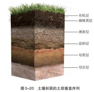 土壤腐殖质及其作用